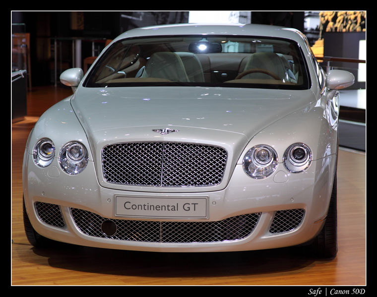 2008   10   Salon auto Paris   201